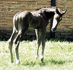 Ilustrační foto Ilustrační foto