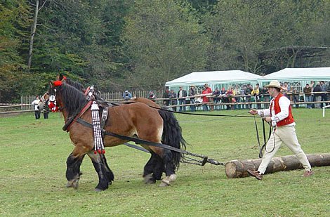 reprezentanti Polska reprezentanti Polska