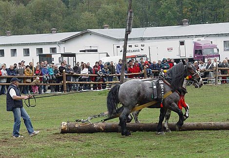 Jan couvá. Jan couvá.