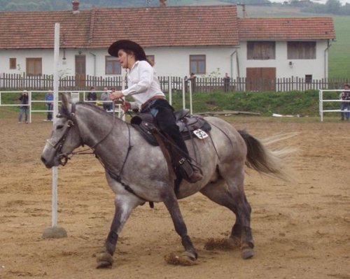 Nánosník i martingal (povolené vybavení)