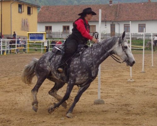 Obouruční vedení na páce