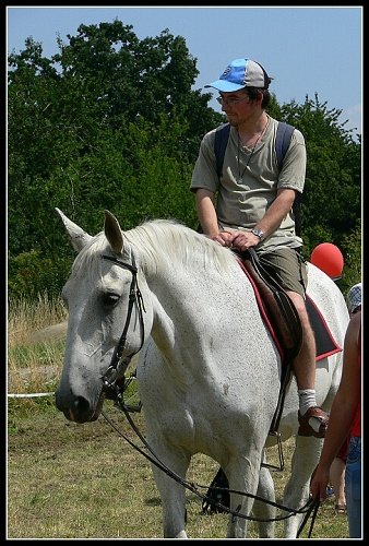 Možnost svezení na klisně Alcale využil nejeden návštěvník Kuksu. Možnost svezení na klisně Alcale využil nejeden návštěvník Kuksu.