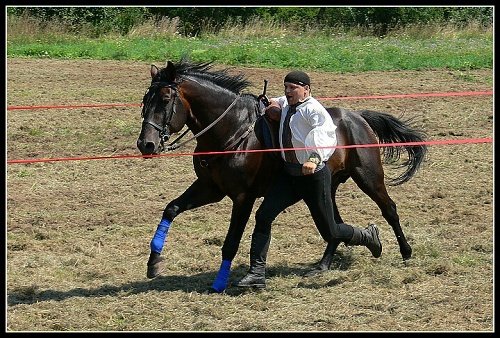 Skupina Caballos - Petr Vlasák a hřebec Charlie. Skupina Caballos - Petr Vlasák a hřebec Charlie.