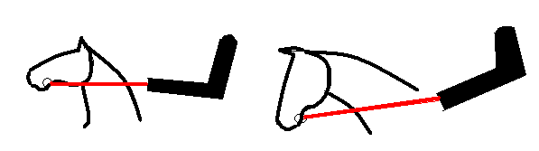 Výška rukou jezdce se řídí výškou držení hlavy koně