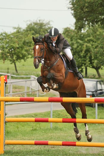 Jiří Skřivan - Odyssea /Stáj Manon Litomyšl/ Jiří Skřivan - Odyssea /Stáj Manon Litomyšl/