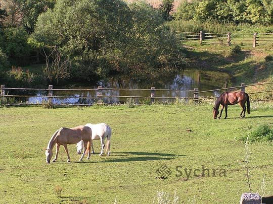 sedlčanská koňostezka