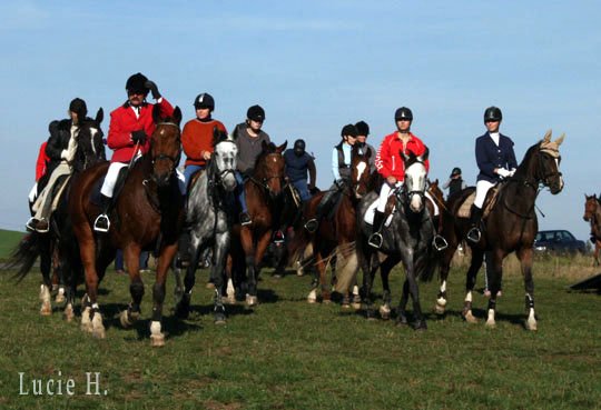 Celkem se jízdy účastnilo 34 koní a dvě dvouspřeží Celkem se jízdy účastnilo 34 koní a dvě dvouspřeží