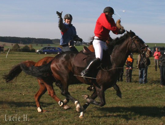 Roman Šafrata má svůj styl a nic k němu nepotřebuje Roman Šafrata má svůj styl a nic k němu nepotřebuje