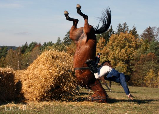 Vypadalo to ošklivě.... Vypadalo to ošklivě....