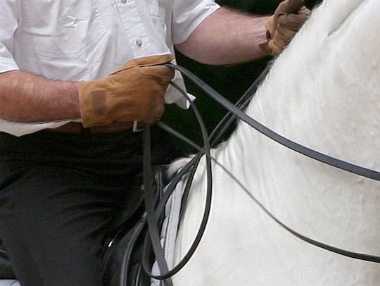 francouzské neboli Fillisovo držení otěží francouzské neboli Fillisovo držení otěží