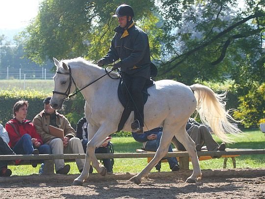 škola lhekosti Philippe Karla škola lhekosti Philippe Karla