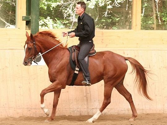 škola lehkosti Philippe Karla škola lehkosti Philippe Karla