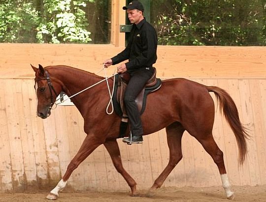 škola lehkosti Philippe Karla škola lehkosti Philippe Karla