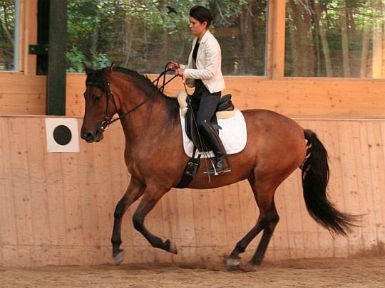 škola lehkosti Philippe Karla škola lehkosti Philippe Karla