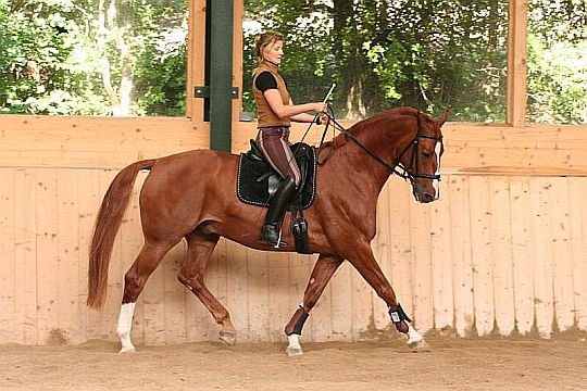 škola lehkosti Philippe Karla škola lehkosti Philippe Karla