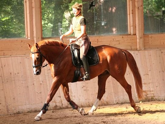 škola lehkosti Philippe Karla škola lehkosti Philippe Karla