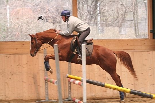 škola lehkosti Philippe Karla škola lehkosti Philippe Karla