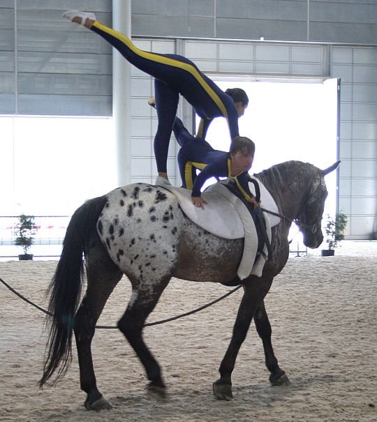 cvičenci paravoltiže z APA VČAS Olomouc cvičenci paravoltiže z APA VČAS Olomouc