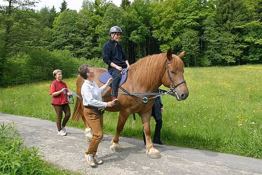 hipoterapie pacienta po mozkové mrtvici hipoterapie pacienta po mozkové mrtvici