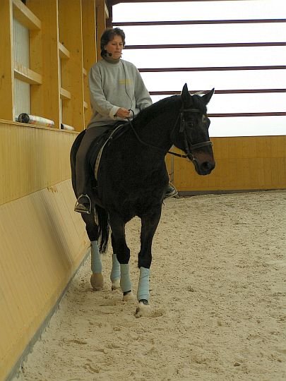 Claudia Benedela Claudia Benedela