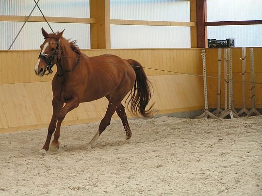 kurz s Claudií Benedela kurz s Claudií Benedela