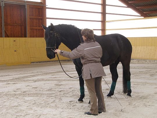 kurz s Claudií Benedela kurz s Claudií Benedela