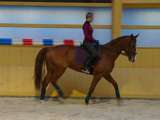 kurz s Claudií Benedela kurz s Claudií Benedela