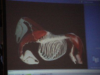 přednáška G. Heuschmanna přednáška G. Heuschmanna