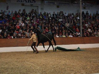 Peter Kreinberg a Sigmund Peter Kreinberg a Sigmund