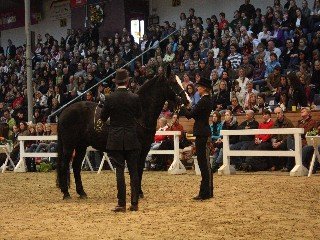 Wibke Kühl a Moses Wibke Kühl a Moses