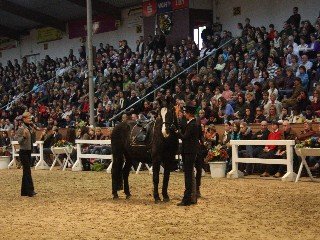 odžvýknutí a ohnutí odžvýknutí a ohnutí