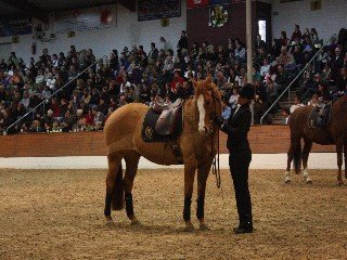 Melanie Kleemann Melanie Kleemann