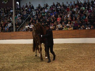 Walter Freitag Walter Freitag