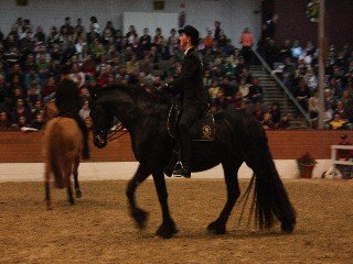 Kristina Janssen Kristina Janssen