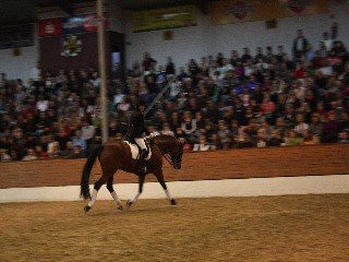 Katja Lauer Katja Lauer