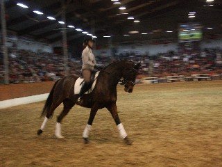 Tabea Rauhut Tabea Rauhut