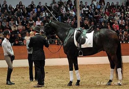 Tabea Rauhut, Conquest a Philippe Karl Tabea Rauhut, Conquest a Philippe Karl