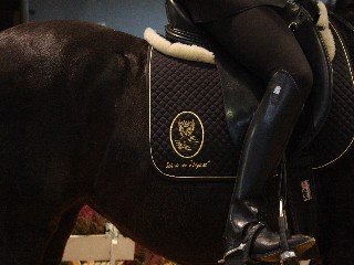 emblém školy legerete emblém školy legerete