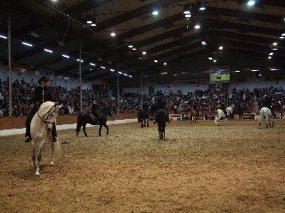 studenti školy legerete studenti školy legerete