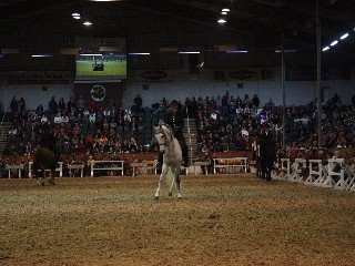 Christiane Horstmann Christiane Horstmann