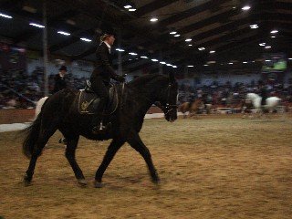 Wibke Kühl Wibke Kühl