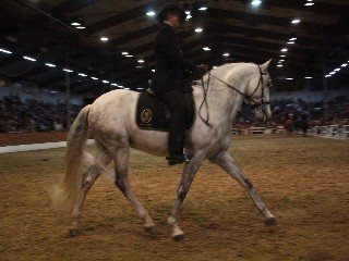 Christiane Horstmann Christiane Horstmann