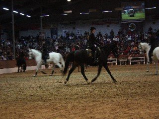 Susanne Lohas Susanne Lohas