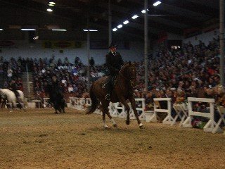 Walter Freitag Walter Freitag