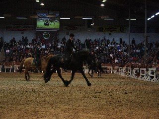 Kristina Janssen Kristina Janssen