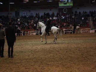 Annika Schnittke Annika Schnittke