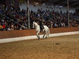 Nancy Heiber Nancy Heiber