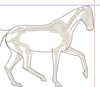 na otěži, shormáždění, vyklenutý krk na otěži, shormáždění, vyklenutý krk