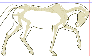 trochu v hloubce, za kolmicí trochu v hloubce, za kolmicí