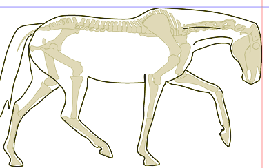 prodloužený, vytažený, vyklenutý krk prodloužený, vytažený, vyklenutý krk